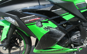 KAWASAKI Ninja 250 SE EX250L