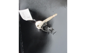 YAMAHA CYGNUS125XSR SE46