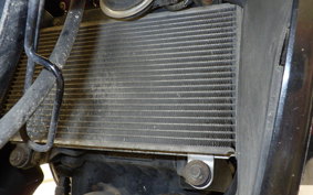 KAWASAKI NINJA 250R 2009 EX250K