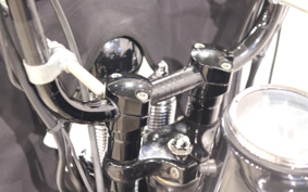 HARLEY FLSTSB 2008 JM5