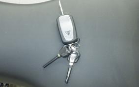 TRIUMPH TIGER 1200 RALLY 2024