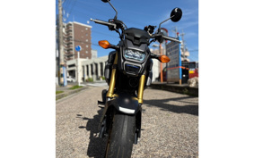 HONDA GROM JC75