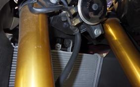 YAMAHA YZF-R25 RG43J