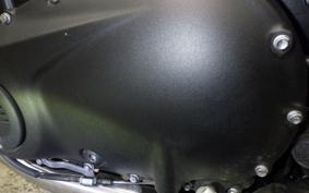 TRIUMPH SPEED TWIN 900 2024