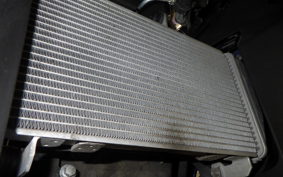 YAMAHA YZF-R25 A 2002 RG74J