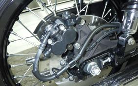 KAWASAKI W800 CAFE 2021 EJ800B