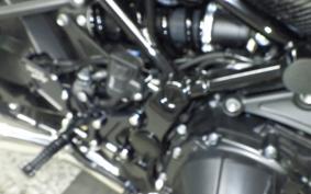 KAWASAKI Z900RS 2019 ZR900C