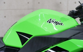 KAWASAKI NINJA 250 ABS SE EX250L