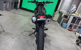 KAWASAKI KLX250D TRACKER X 2026 LX250V