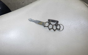 OTHER +クリーブRANド250 2023
