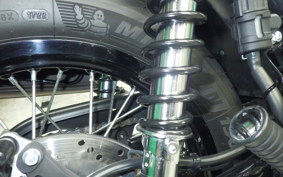 KAWASAKI W800 CAFE 2020 EJ800B