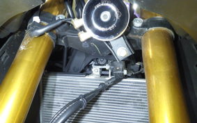 YAMAHA YZF R-3 2019 RH13J