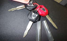 YAMAHA MT-09 Tracer 2015 RN36J