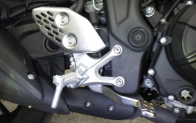 YAMAHA MT-25 A RG74J