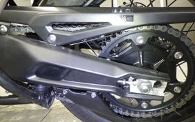 TRIUMPH TIGER900 RALLYARACO 2024