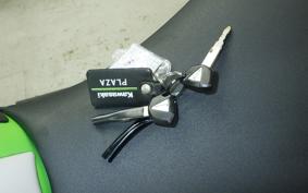 KAWASAKI NINJA ZX-6R A 2021 ZX636G