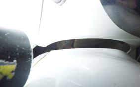 HONDA GIORCUB 2010 AF53