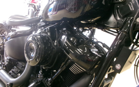 HARLEY FXBB 2019 YJJ