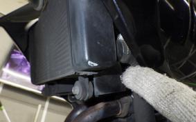 KAWASAKI Z300 2022