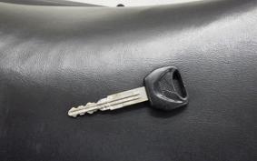 HONDA HORNET 250 MC31