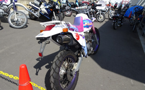 YAMAHA TT250RRAID 4GY