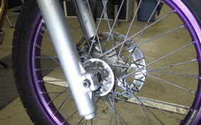 YAMAHA TT250R RAID 4GY