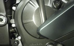 KAWASAKI ZX-4R SE 2025 ZX400P