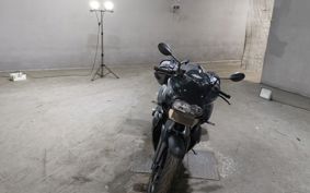BMW K1300R 0518