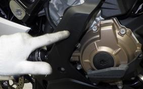 BMW S1000RR M DDC 2022