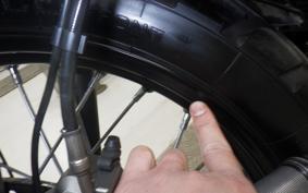 TRIUMPH SCRAMBLER 900 2023