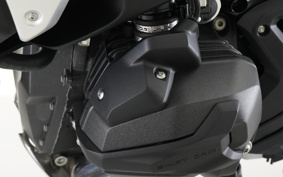 BMW R1300GS 2024 0M21