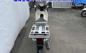 OTHER C110PU LOW 2