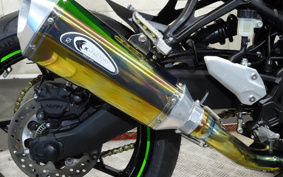 KAWASAKI NINJA ZX-25R KRT ED ZX250E