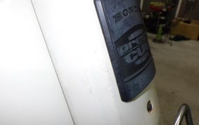 HONDA C50 SUPER CUB C50