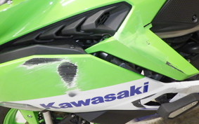 KAWASAKI ZX-4RR 2024 ZX400P