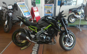 KAWASAKI Z900 2019 ZR900B