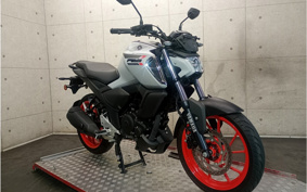 YAMAHA FZS FI RG91