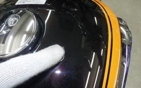 KAWASAKI W800 2016 EJ800A