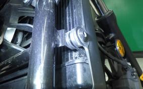HONDA REBEL 250 MC49