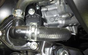 HONDA FORZA 250 MF17