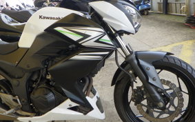 KAWASAKI Z250 ER250C