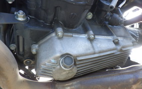 KAWASAKI NINJA 250 EX250L