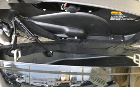 HARLEY FLSB 2021 YMJ