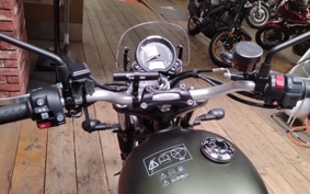 TRIUMPH SCRAMBLER 2024 DAD78G