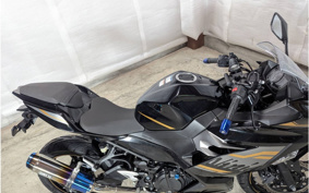 KAWASAKI NINJA 250 EX250P