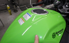 KAWASAKI NINJA 250 2 2025 EX250Y