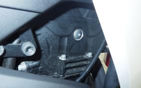 YAMAHA YZF-R3 2015 RH07J