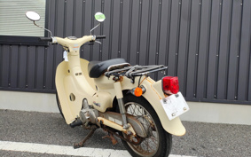 HONDA LITTLE CUB C50