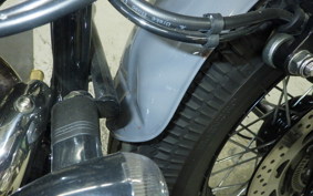 OTHER THUNDER 250 2025