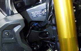 YAMAHA MT-09 ASP RN52J